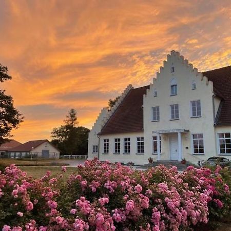 Boutique Hotel Gut Tribbevitz Neuenkirchen auf Rugen 外观 照片