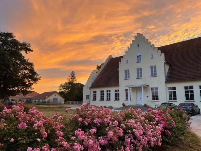 Boutique Hotel Gut Tribbevitz Neuenkirchen auf Rugen 外观 照片